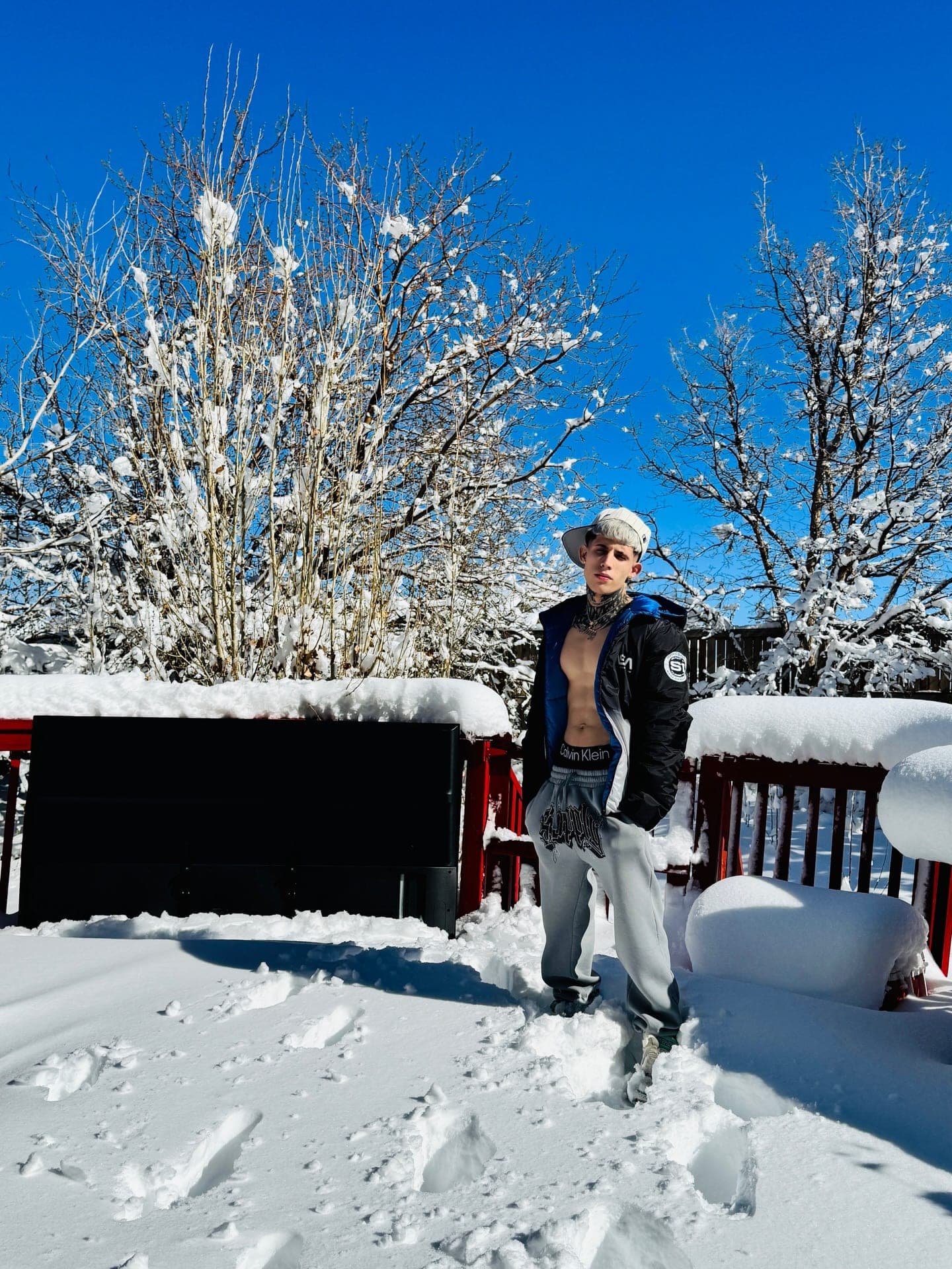Milian de pie sobre un deck nevado entre árboles cubiertos de nieve, Denver en invierno